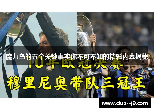 魔力鸟的五个关键事实你不可不知的精彩内幕揭秘 魔力鸟的五个关键事实你不可不知的精彩内幕揭秘