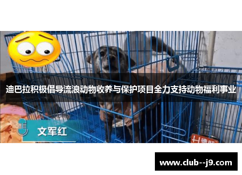 迪巴拉积极倡导流浪动物收养与保护项目全力支持动物福利事业 迪巴拉积极倡导流浪动物收养与保护项目全力支持动物福利事业