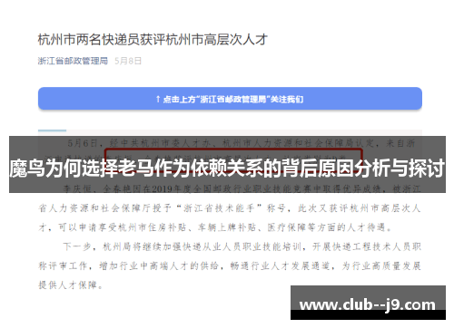 魔鸟为何选择老马作为依赖关系的背后原因分析与探讨